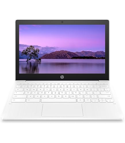 Amazon.co.jp: HP Chromebook 11.6インチ HD 軽量 スリムノート